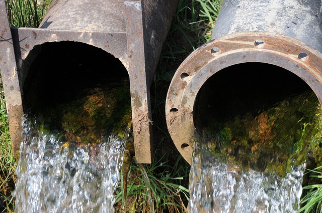 drainage